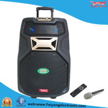 15 Inch Big Power Bank Professional DJ Speaker F38